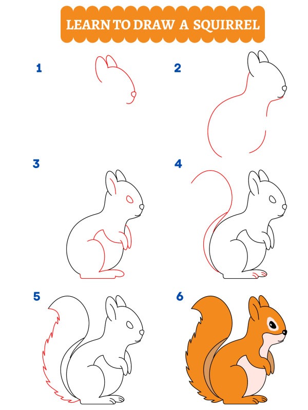 How to draw a squirrel
