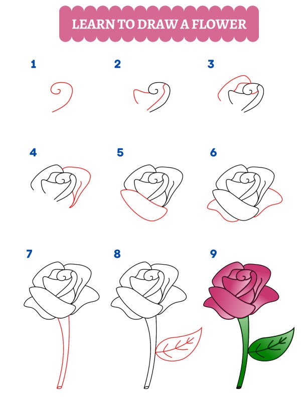 How to draw a rose