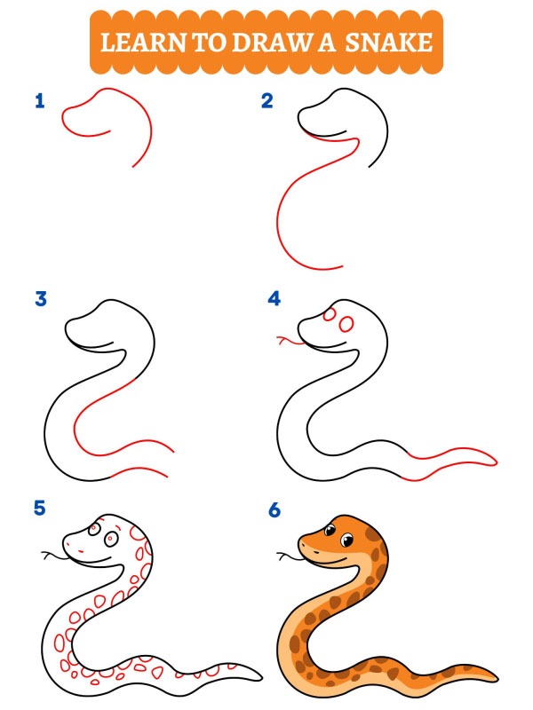 How to draw a snake