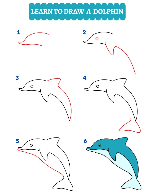 How to draw a dolphin
