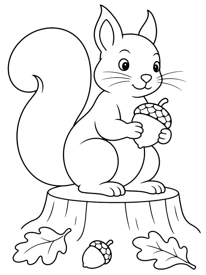 Squirrel with an Acorn Coloring page Squirrel with an Acorn Coloring page