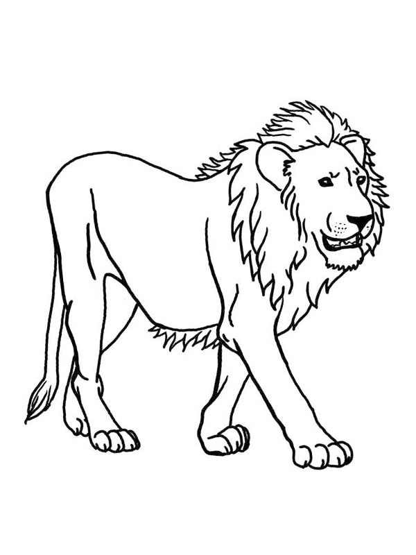 Lion Coloring page