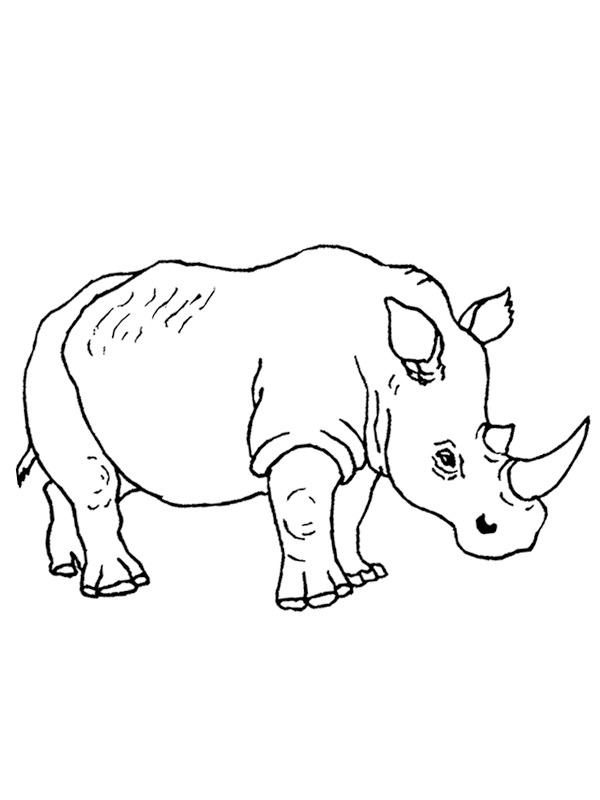 Rhino Coloring page