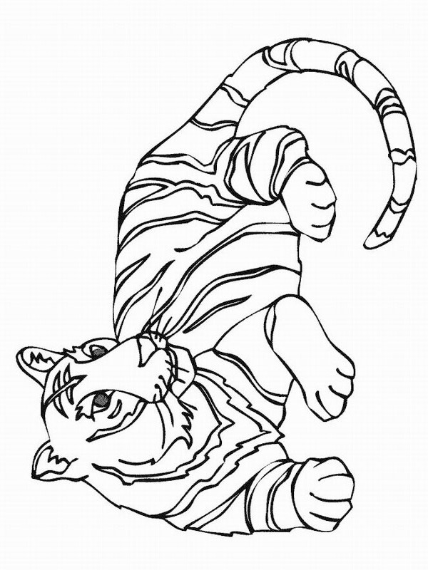 Tiger Coloring page