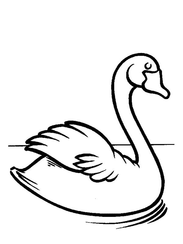 Swan Coloring page