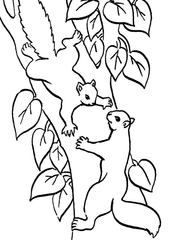 Squirrels jumping of a tree Coloring page