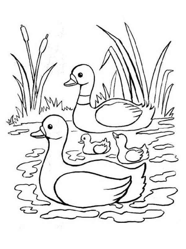 Two swans Coloring page
