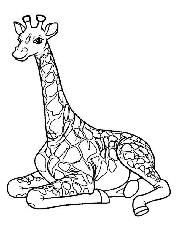 giraffe Coloring page