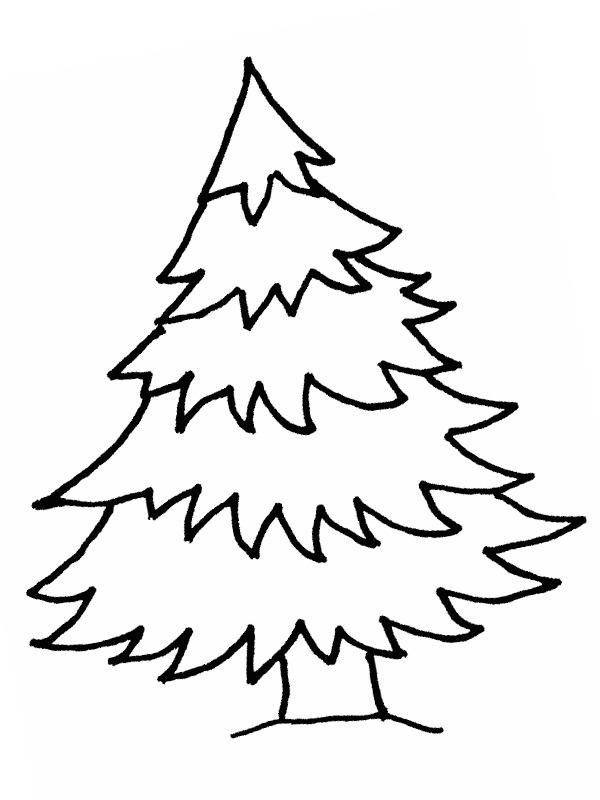 pine tree coloring pages