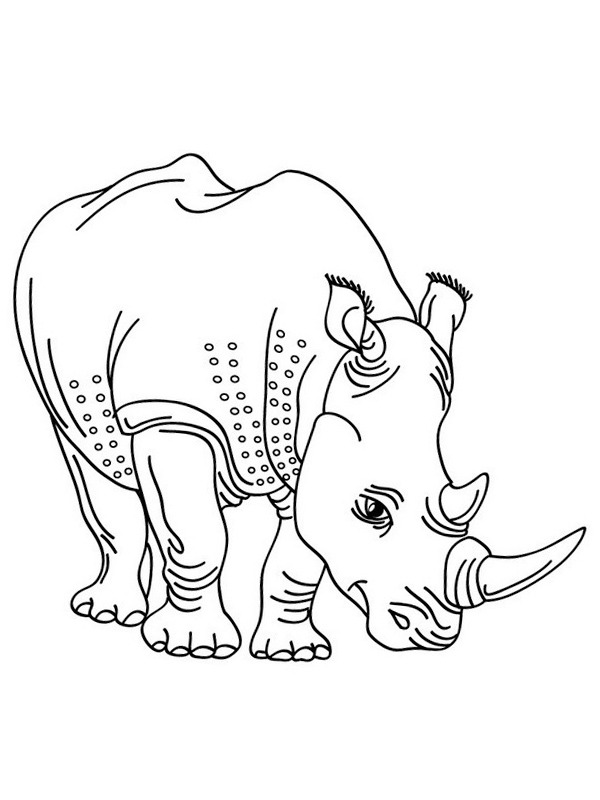 Rhino Coloring page