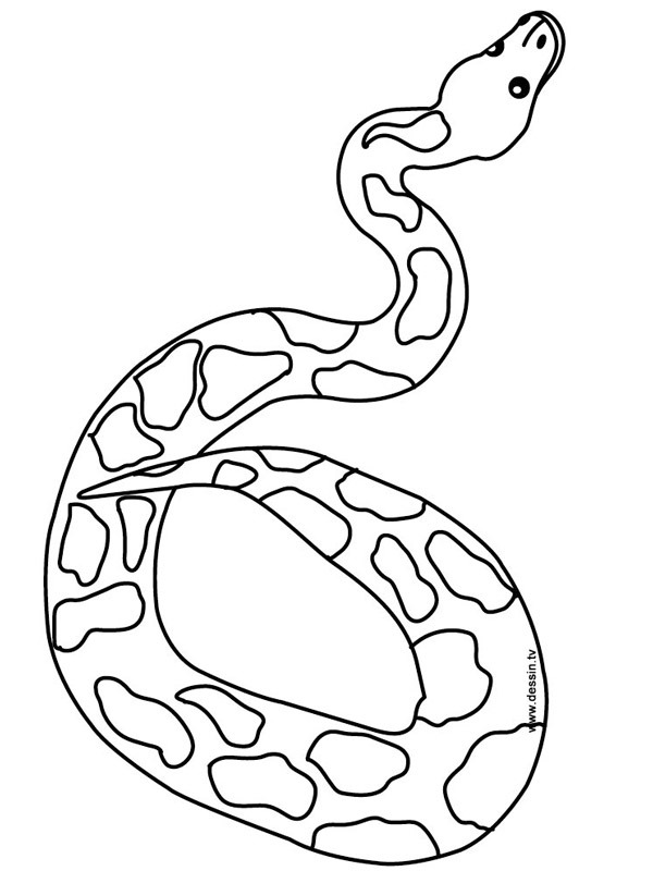 snake Coloring page