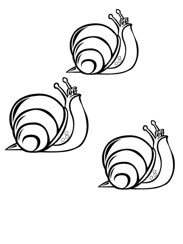 3 snails Coloring page
