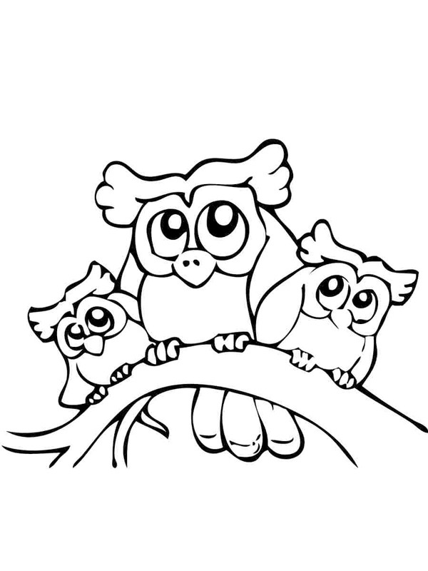 3 Owls Coloring page