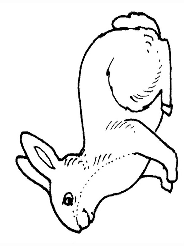 Rabbit Coloring page