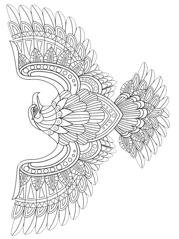 eagle for adults Coloring page