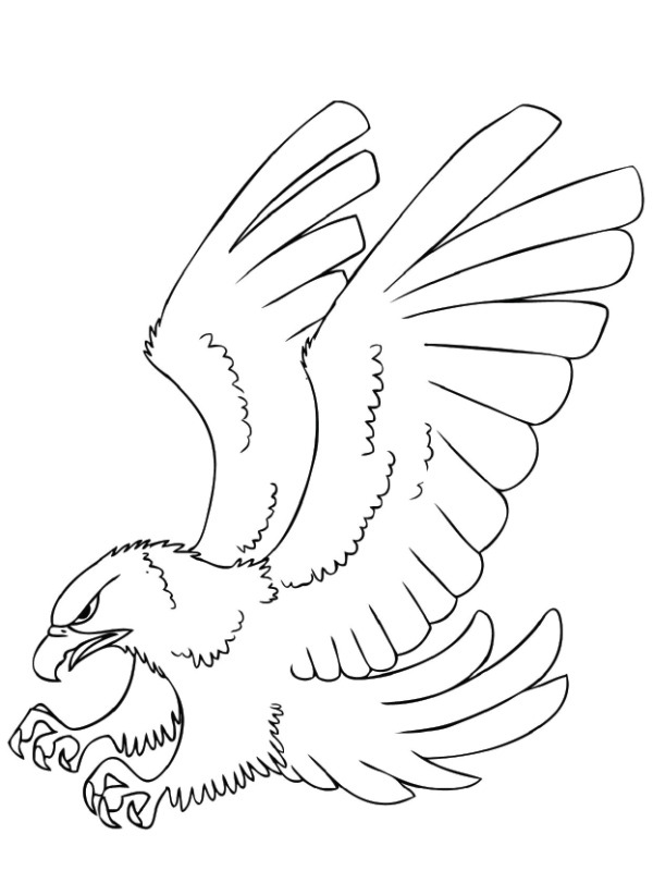 eagle Coloring page