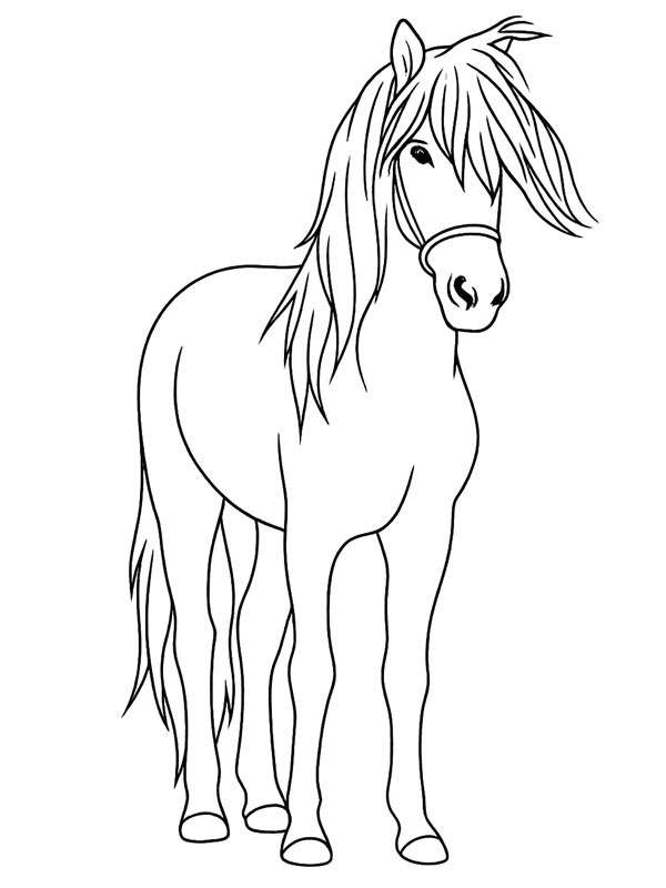 Aegidienberger Coloring page