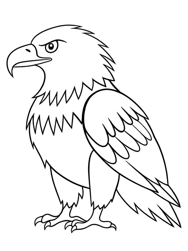 Bald eagle Coloring page