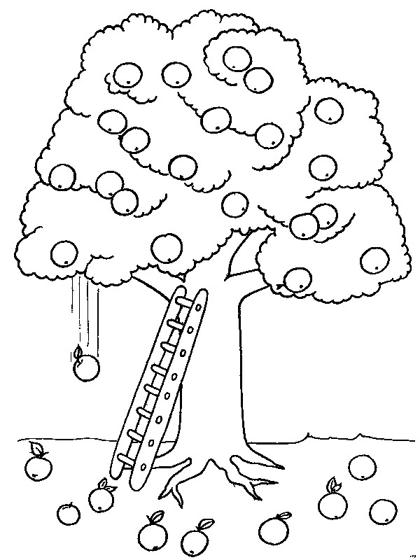 Appletree Coloring page