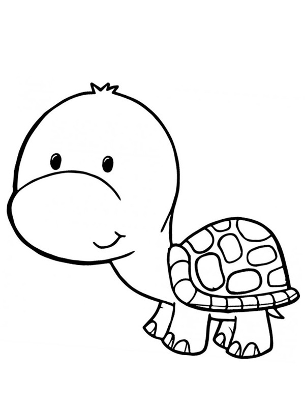 Baby Turtle Coloring page