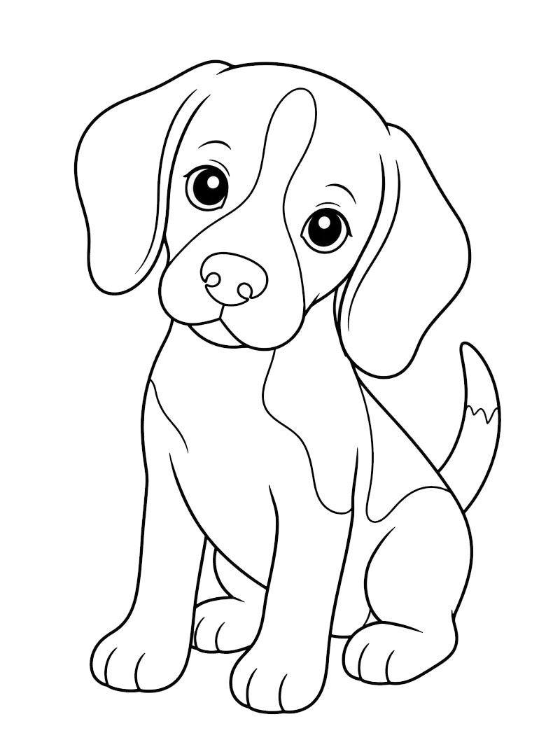 Beagle puppy Coloring page