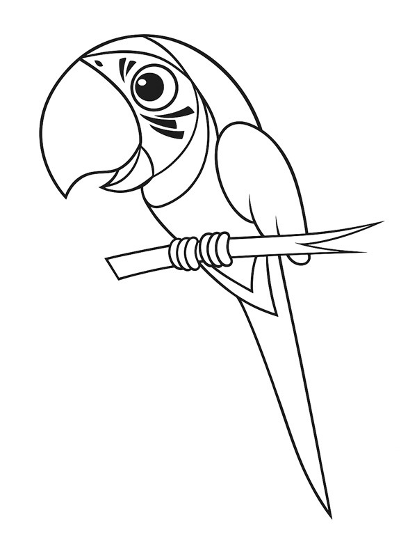 Blue and yellow macaw Coloring page