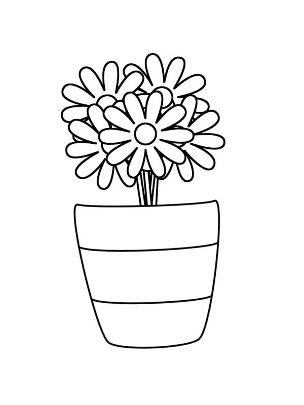 Bouquet of daisies in a vase Coloring page Bouquet of daisies in a vase Coloring page