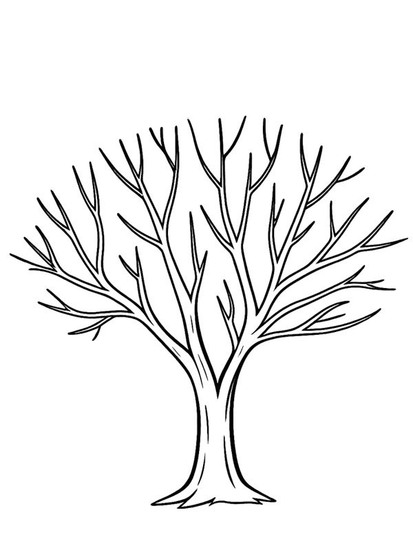 Tree with no leaves Coloring page
