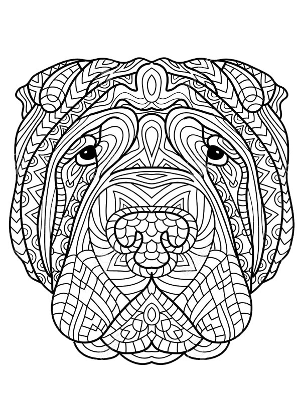 Boxer for adults Coloring page