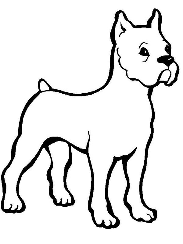 Boxer Coloring page