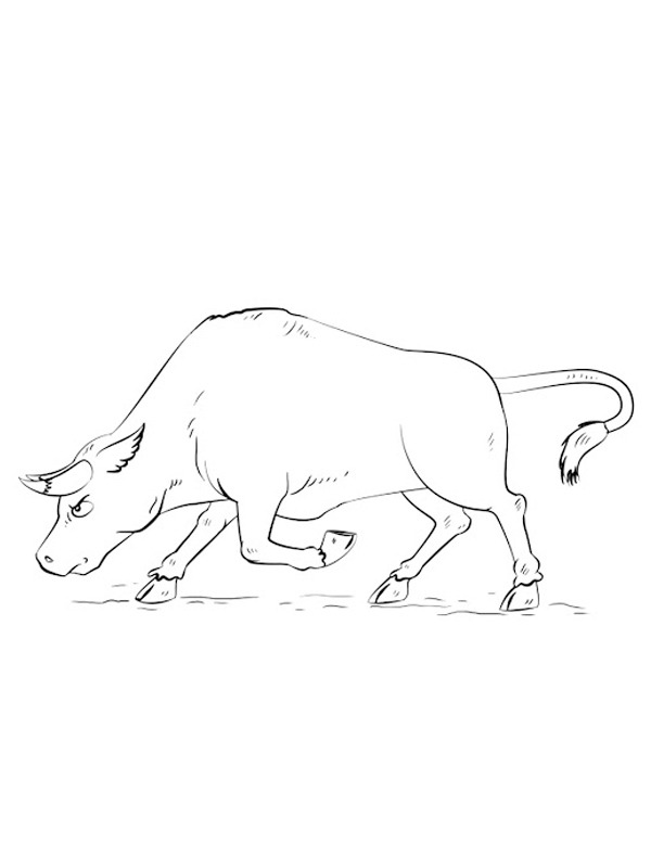 Angry bull Coloring page