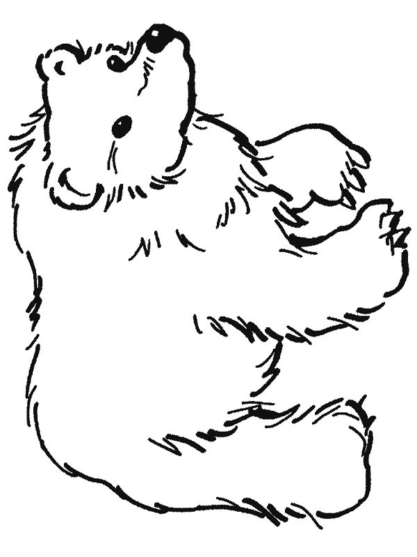 Brown bear Coloring page