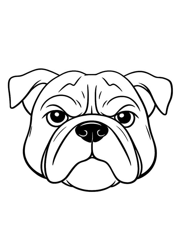 Bulldog Head Coloring page