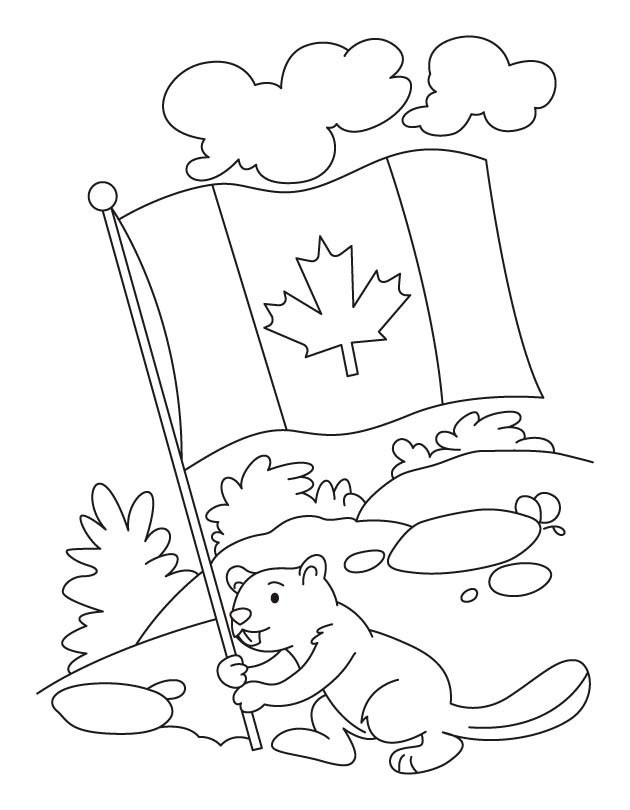 Beaver holds Canadian flag Coloring page