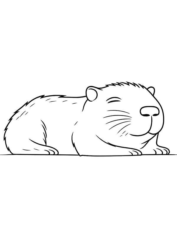 Capybara is sleeping Coloring page Capybara is sleeping Coloring page