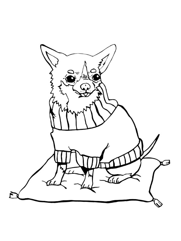 Chihuahua dog Coloring page