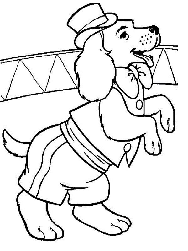 Circus dog Coloring page