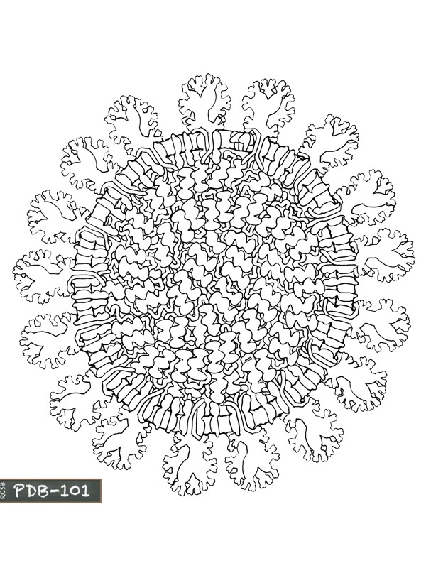 Coronavirus mandala Coloring page