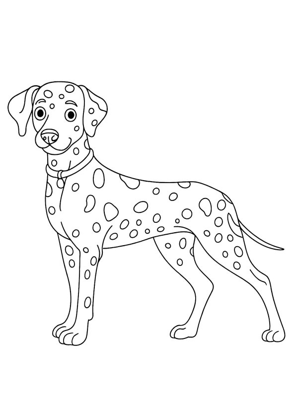 Dalmatian Coloring page