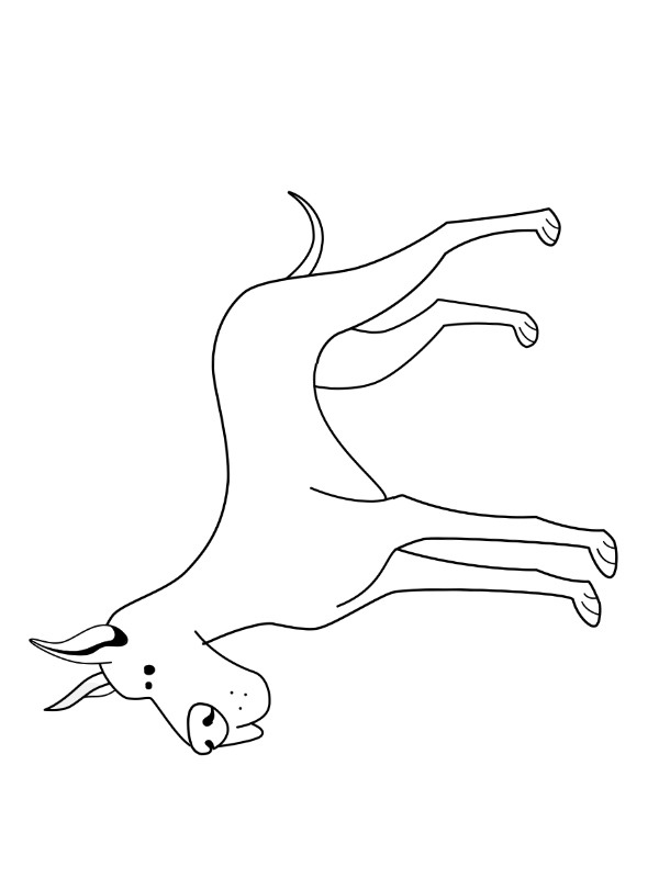 Danisch dog Coloring page