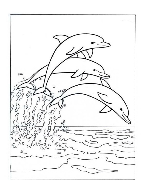 Dolphins jumping at sea Coloring page Dolphins jumping at sea Coloring page