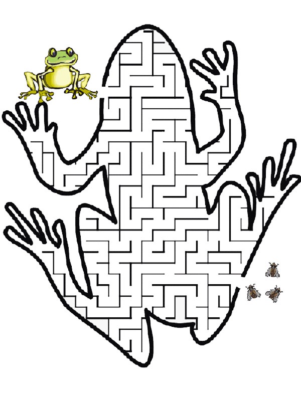 Frog maze Coloring page