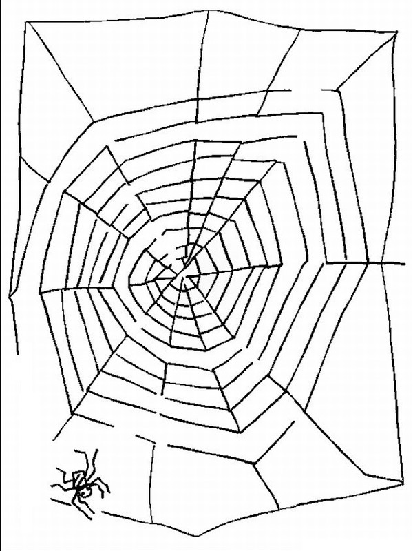 Maze spiderweb Coloring page