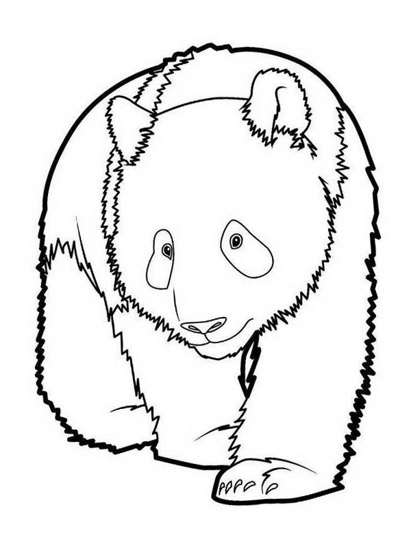 Sad panda Coloring page