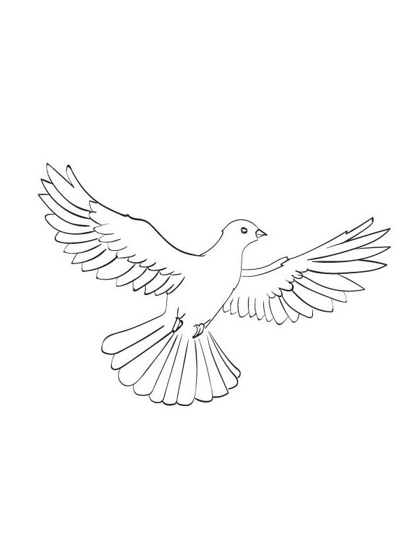 Pigeon Coloring page