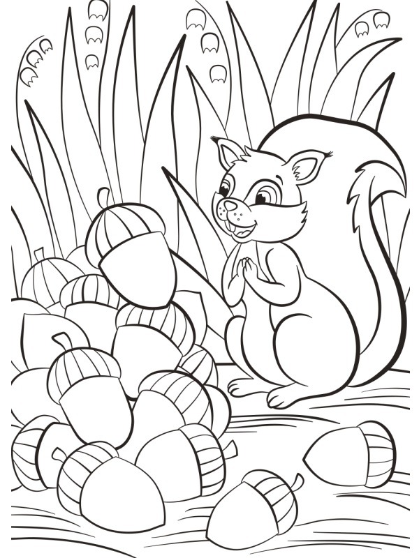 Squirrel with acorn Coloring page