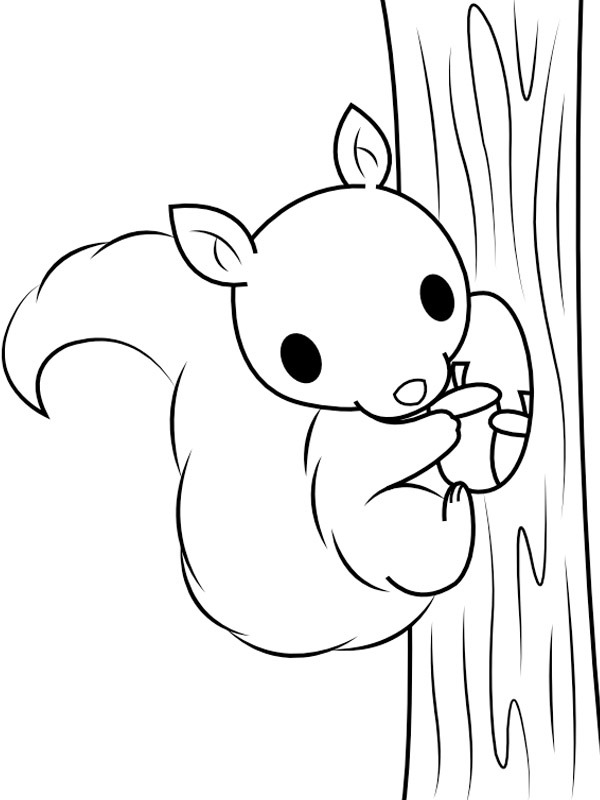 Squirrel climbing a tree Coloring page