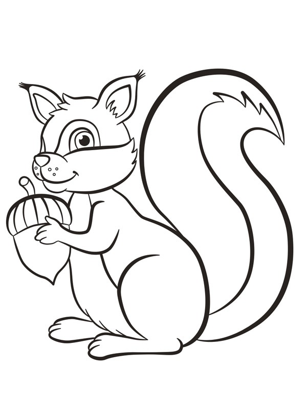 squirrel with acorn Coloring page
