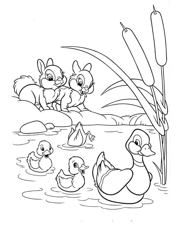 Ducks and rabbits Coloring page