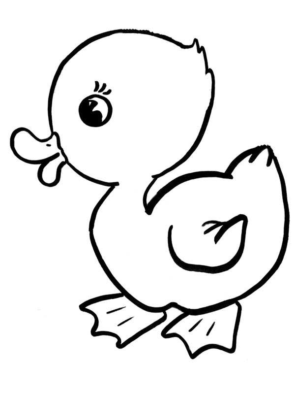Duck Coloring page